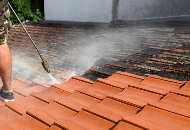 Best Exterior Home Cleaning  in Tidmore Bend, AL