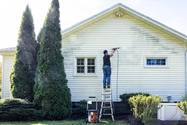Best Affordable Power Washing  in Tidmore Bend, AL