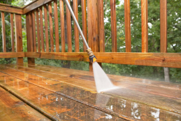 Best Local Pressure Washing Services  in Tidmore Bend, AL