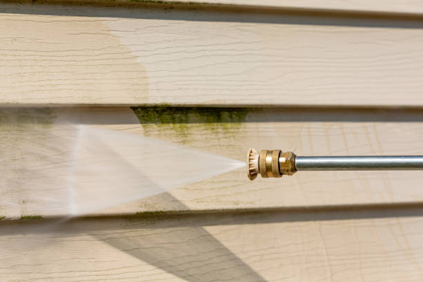 Best Pressure Washing Driveway  in Tidmore Bend, AL